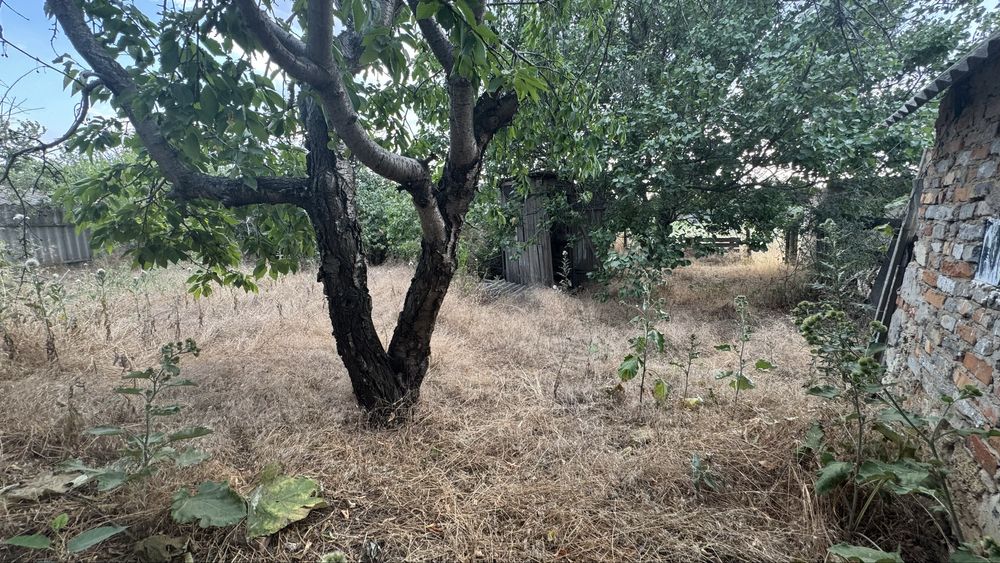 Продам будинок з ділянкою 17,5 соток у с. Миролюбово (Грейгове)