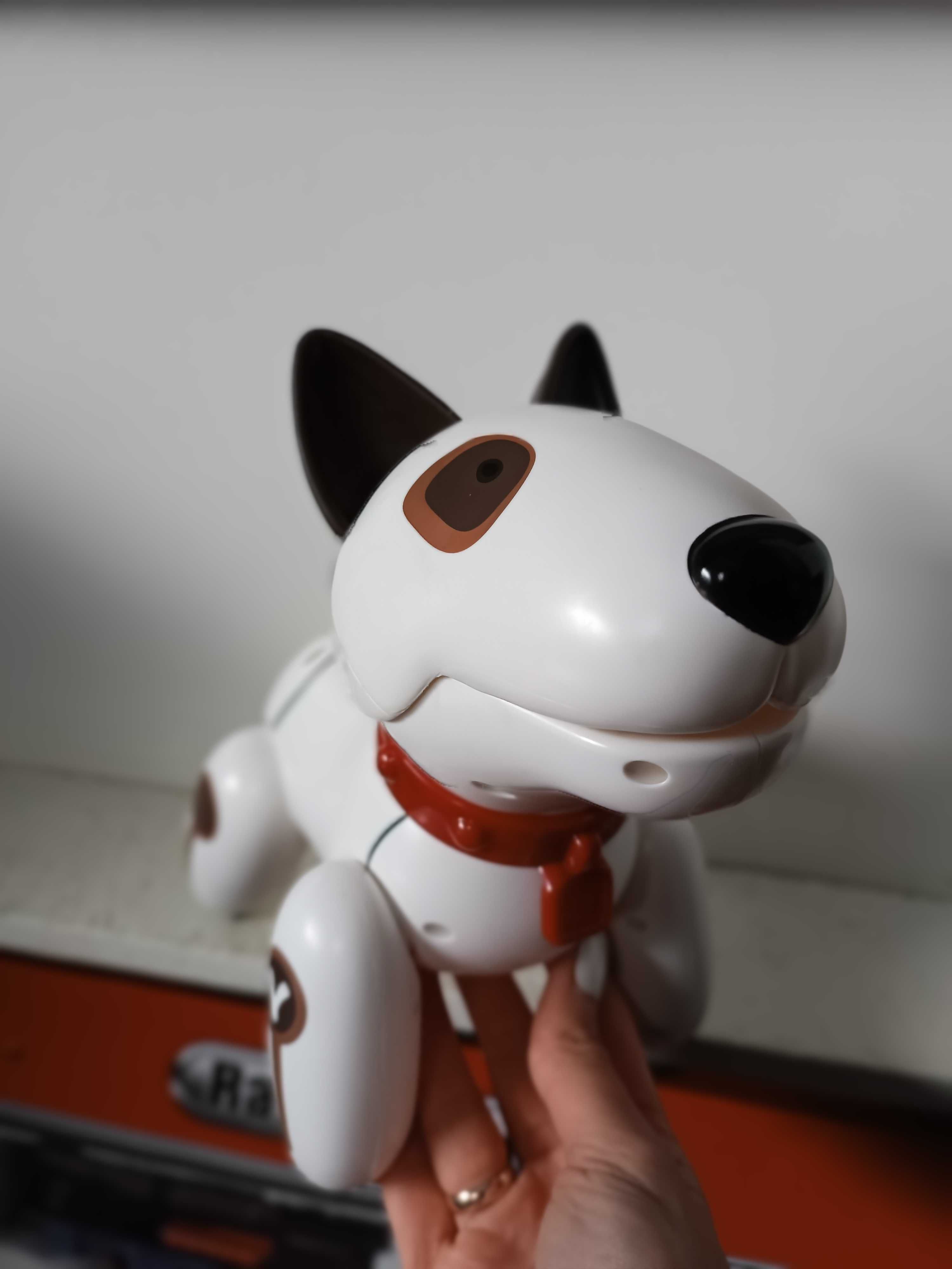 Робот пес собака робот