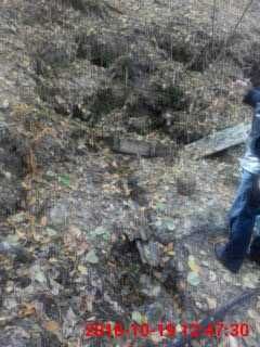 Продам або обміняю земельну ділянку в с.Тетерівське