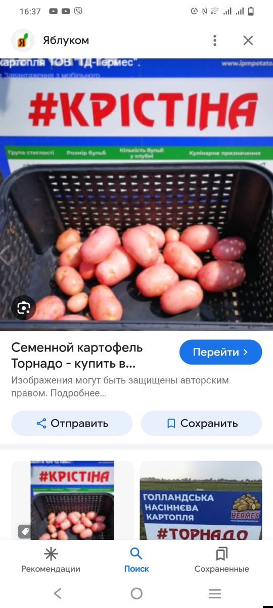 Картопля крупна та посівна друга репродукція морква крупна