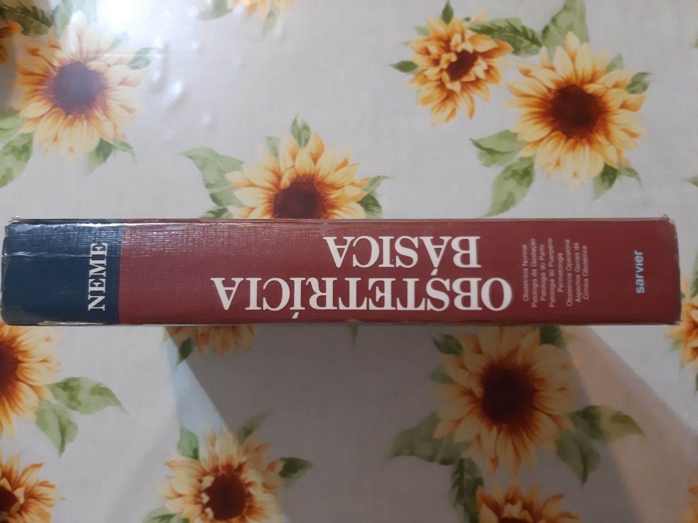 Obstetrícia Básica