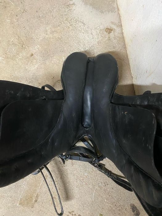 Selim ensino MARJOMAN Regent DR