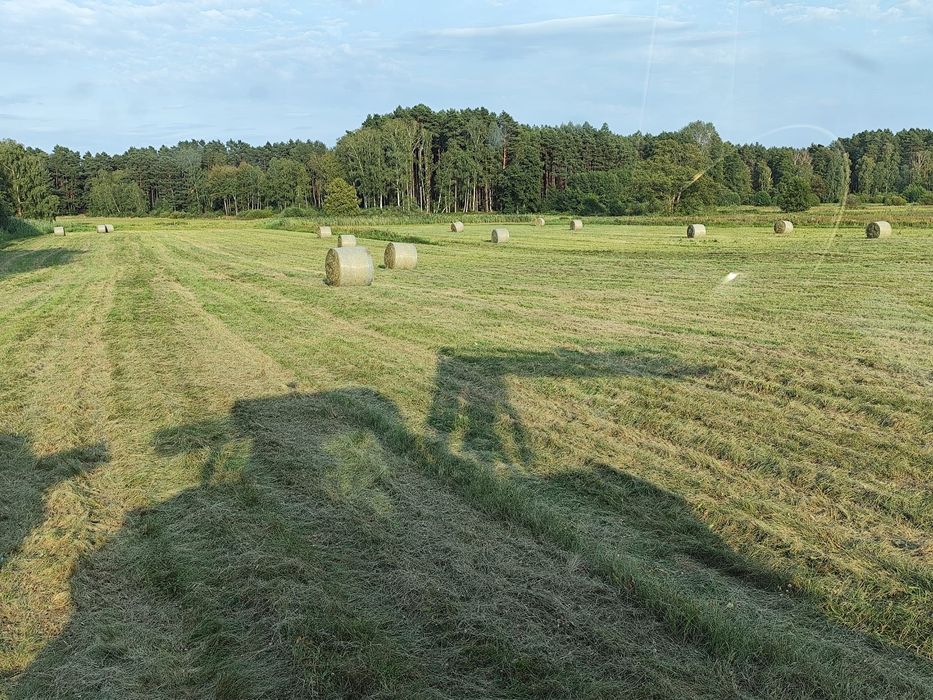 Siano Kosti i baloty