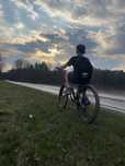 Rower wyczynowy ns bikes dirt
