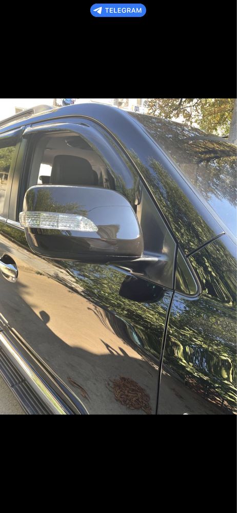Toyota Land Cruiser 200 (08-11): Копуса зеркал с LED повторителем