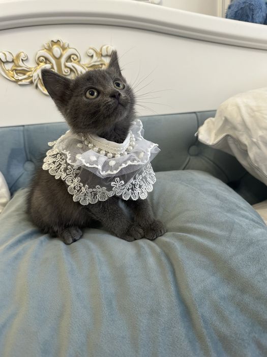 Мальчик 1,5 месяца ищет семью