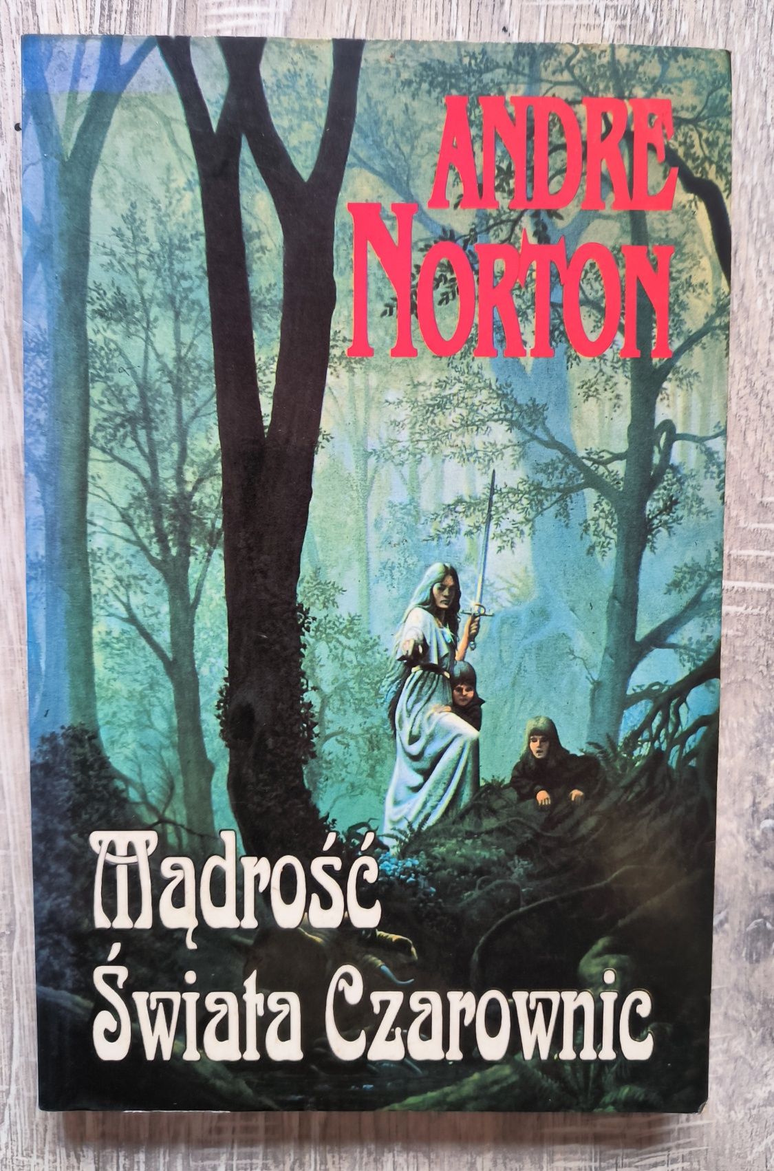 Mądrość świata czarownic Andre Norton