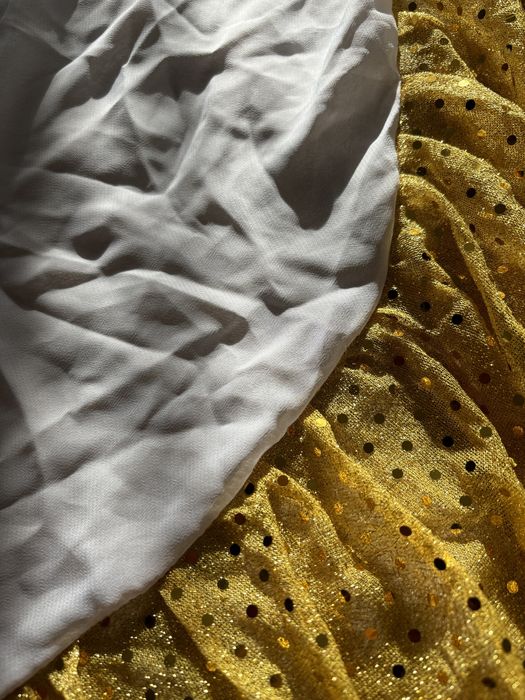 Крила метелика / костюм для танців / хореографії