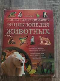 Большая энциклопедия животных Махаон