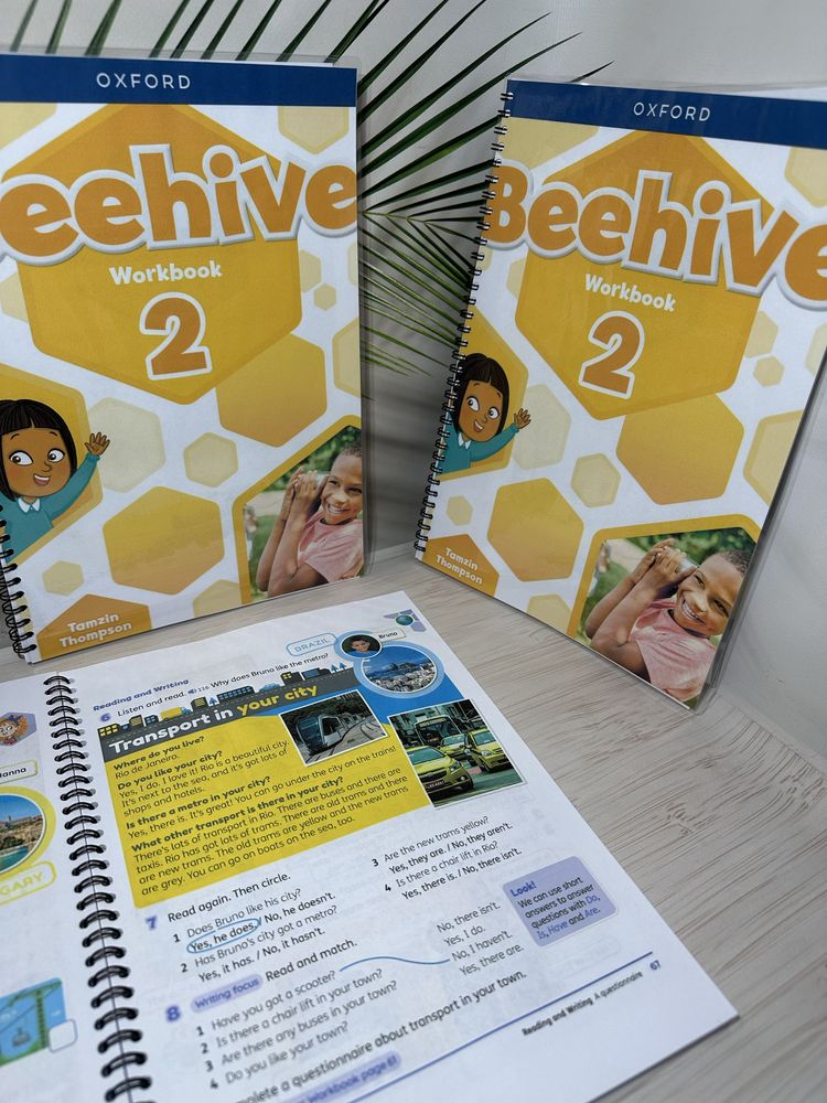 Beehive ДРУК КНИГ 1 день