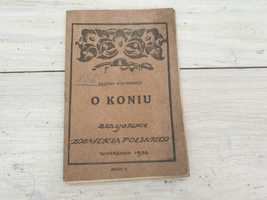 Stara broszura O Koniu Stefanowicz 1920