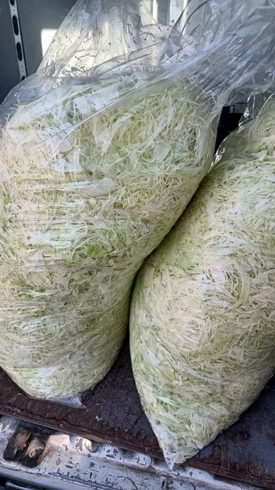 Sprzedam kapustę do kiszenia