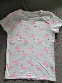 Bluzka,t-shirt rozm.164 Cool Club Flamingi
