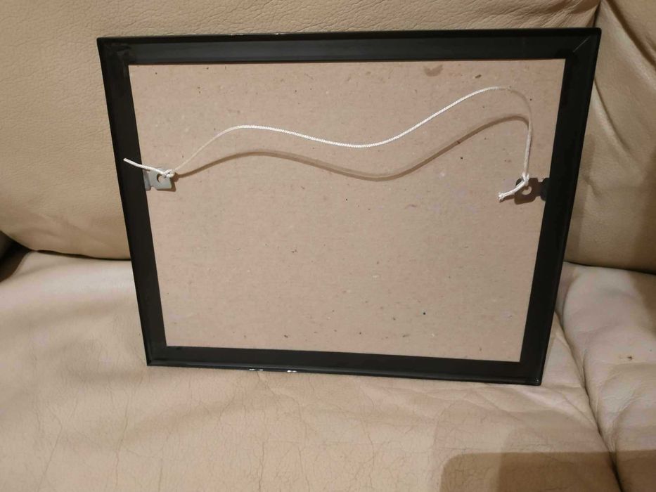 Freightliner truck ciężarówka USA obraz obrazek