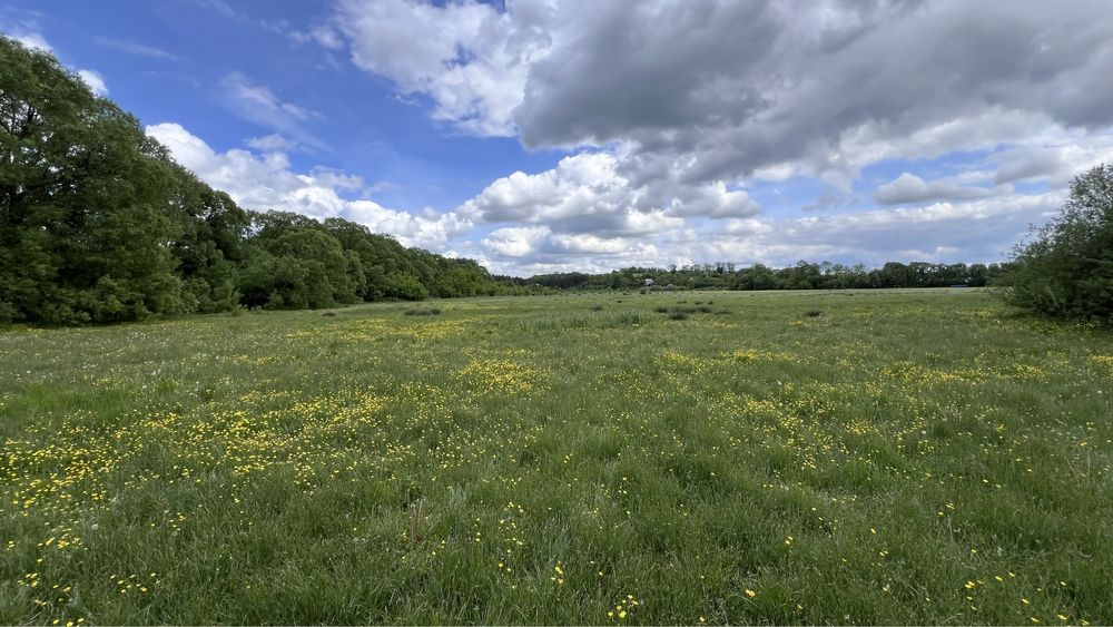 Продаж земельної ділянки Івачів