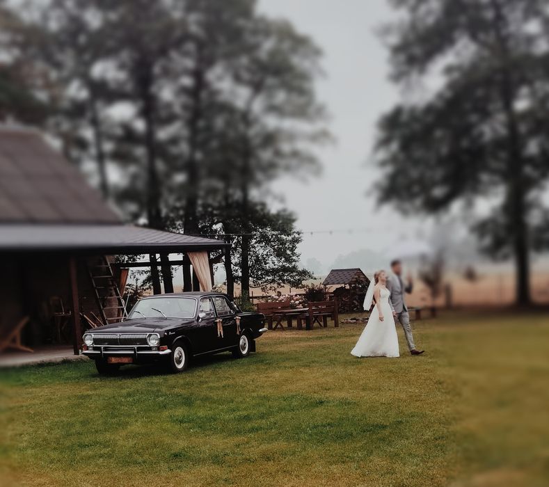 Auto do ślubu klasyk do ślubu Mercedes S klasa / Wołga Gaz 24