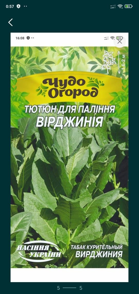 Ссемена тютюну.Сорт Вирджиния