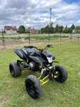 QUAD 250 bashan 4+1