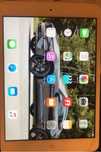iPad Mini 1 (model A1455) z modułem GSM