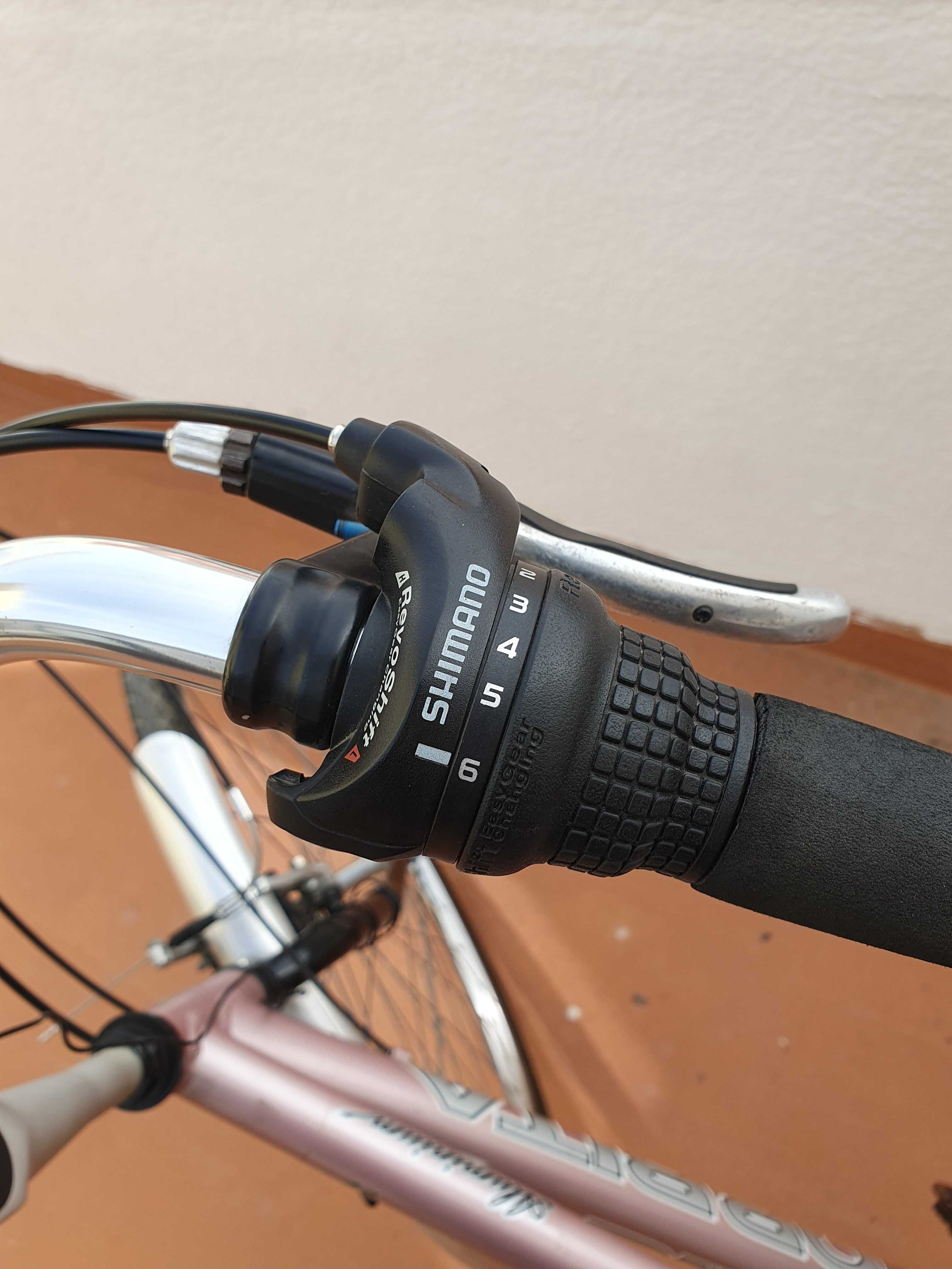 bicicleta com porta-bagagens