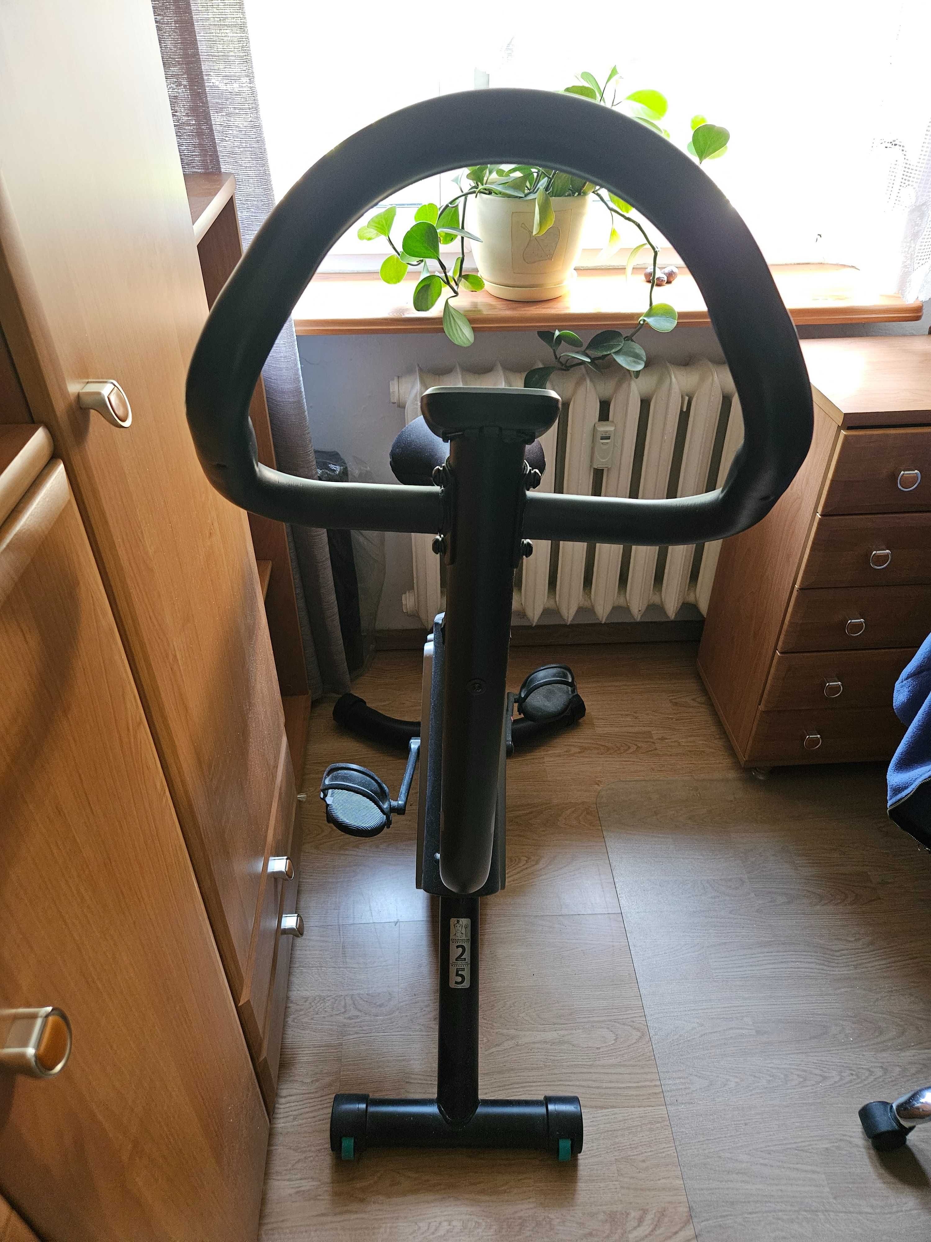 Rower stacjonarny Domyos