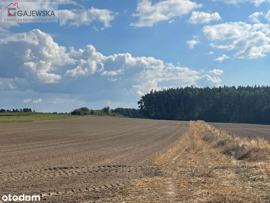 Działka budowlana przy lesie, Szydłowo ul.Ogrodowa