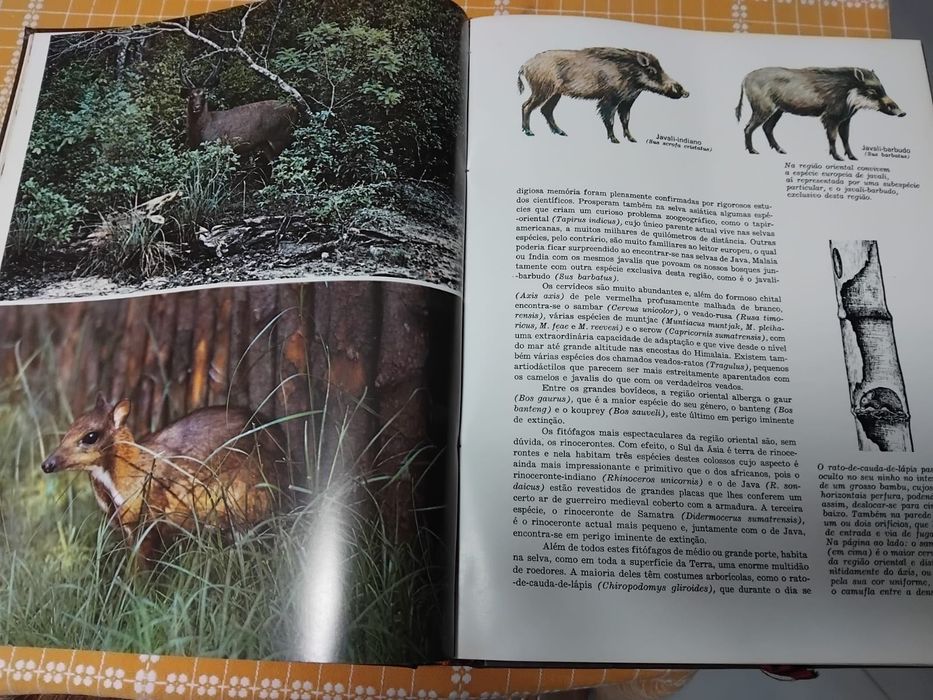 Enciclopédia A Fauna