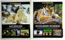 Детские книги Энциклопедия Дикие кошки Энциклопедия Медведи