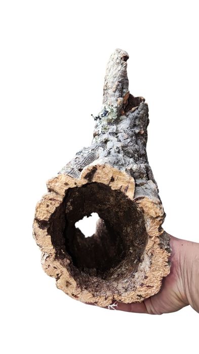 Кора пробкового дерева, декор для террариума, рептилий, птицеедов 40см