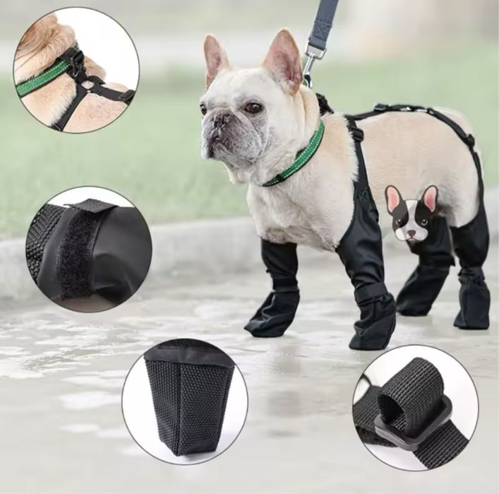 Взуття для собак