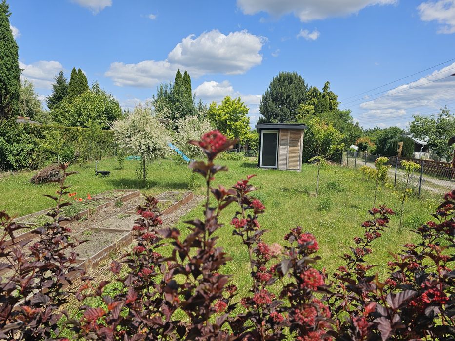 Działka ROD Piastowski ogródek działkowy