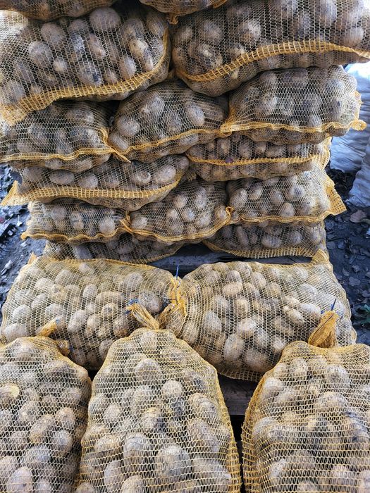 Ziemniaki 15kg Gospodarstwo Rodzinne