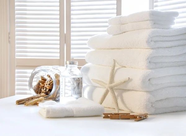 Lavagem e passadoria de roupa em casa.  Retiro e entrego