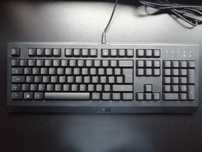 Teclado Gaming Razer Cynosa Lite