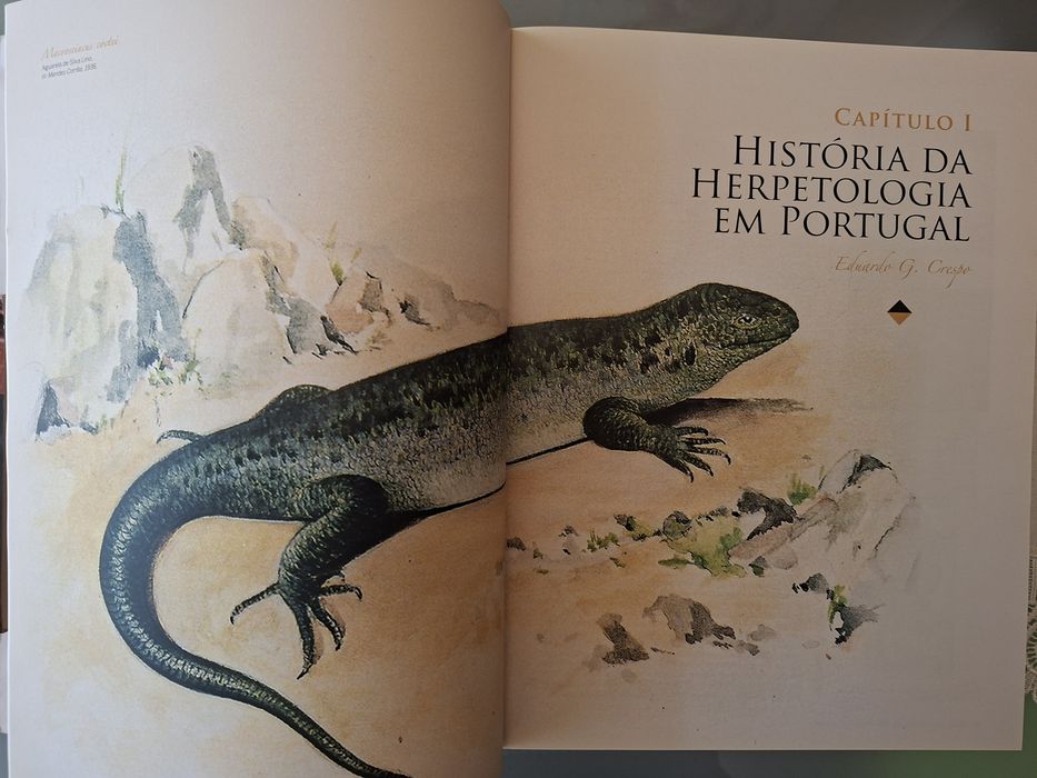 Livro: ATLAS Dos ANFÍBIOS e RÉPTEIS de Portugal