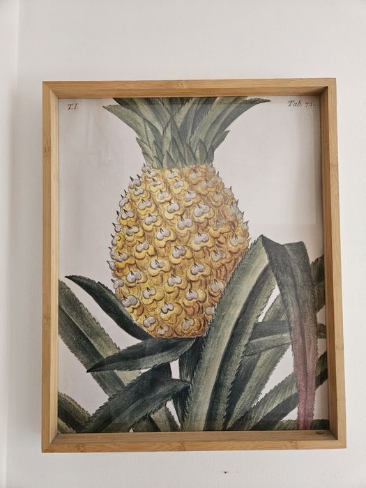 3 Quadros Ikea vários tamanhos