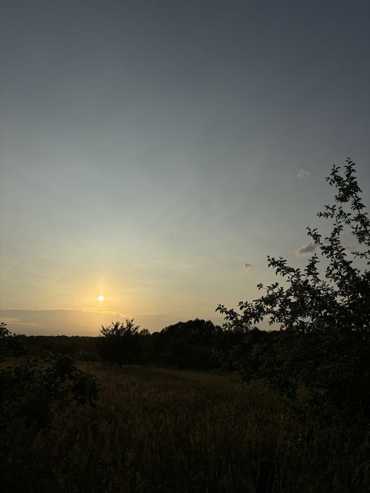 Земельна ділянка Болехів