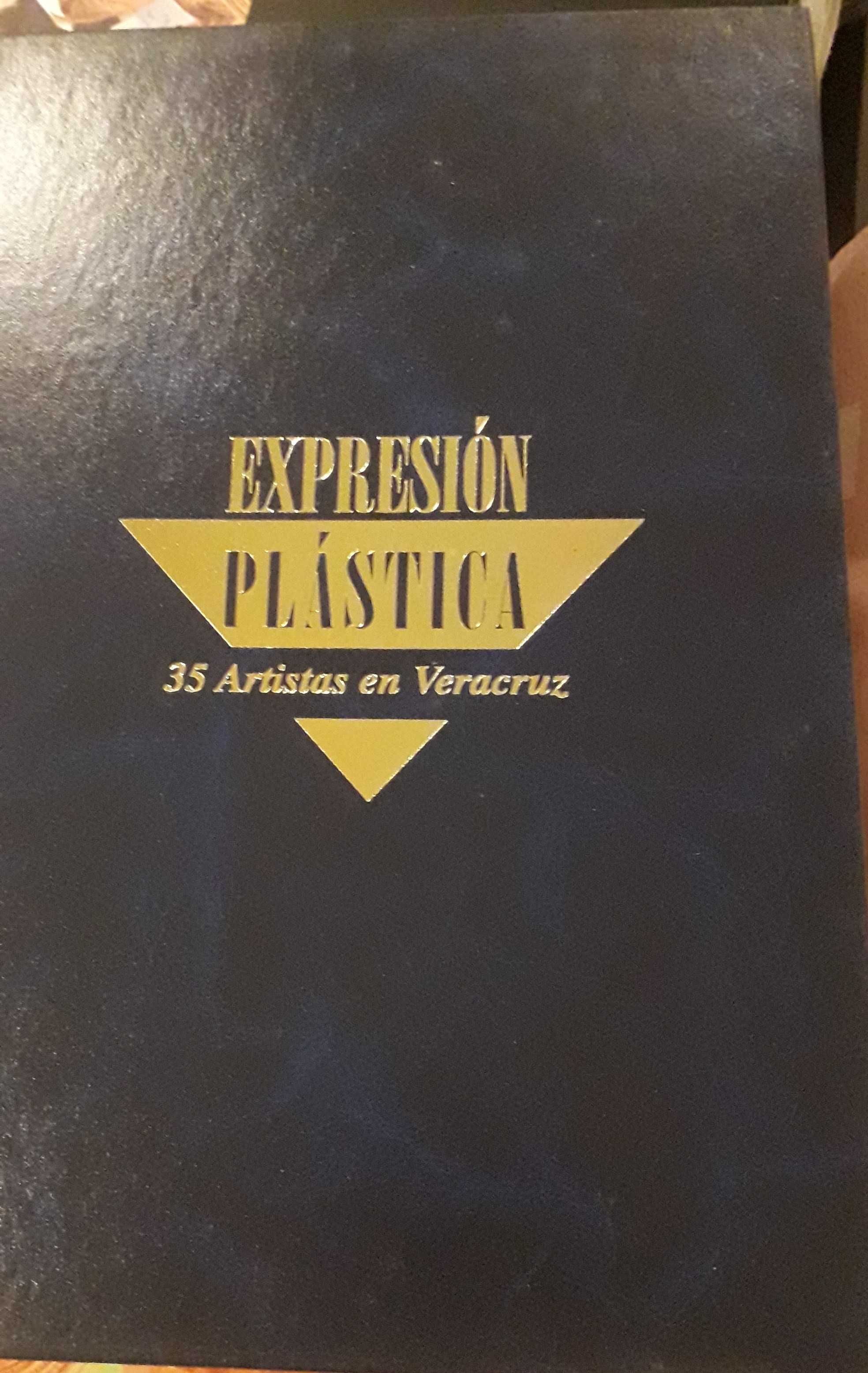 Expréssion Plástica - 35 Artistas de Vera Cruz