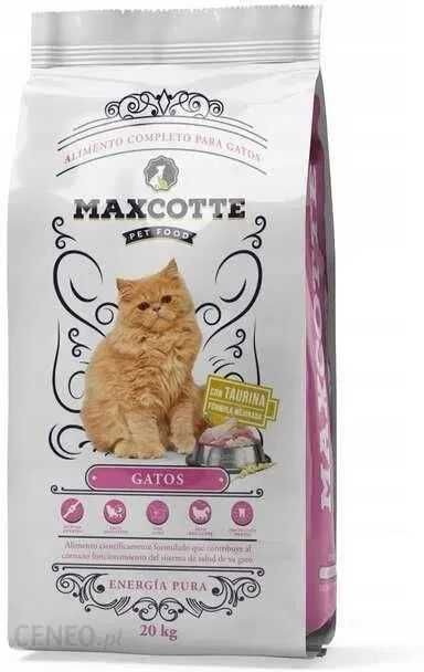 MAXCOTTE GATOS 20 KG sucha karma dla kota