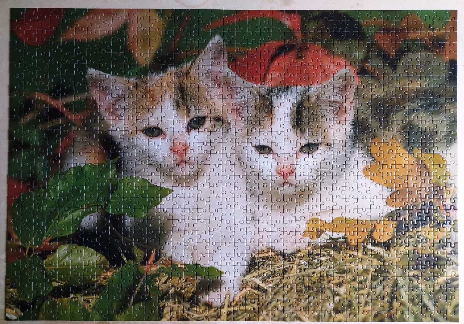 Пазли з муркотиками на 1000 елементів