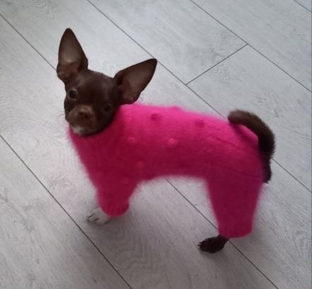 пухові светри для собак