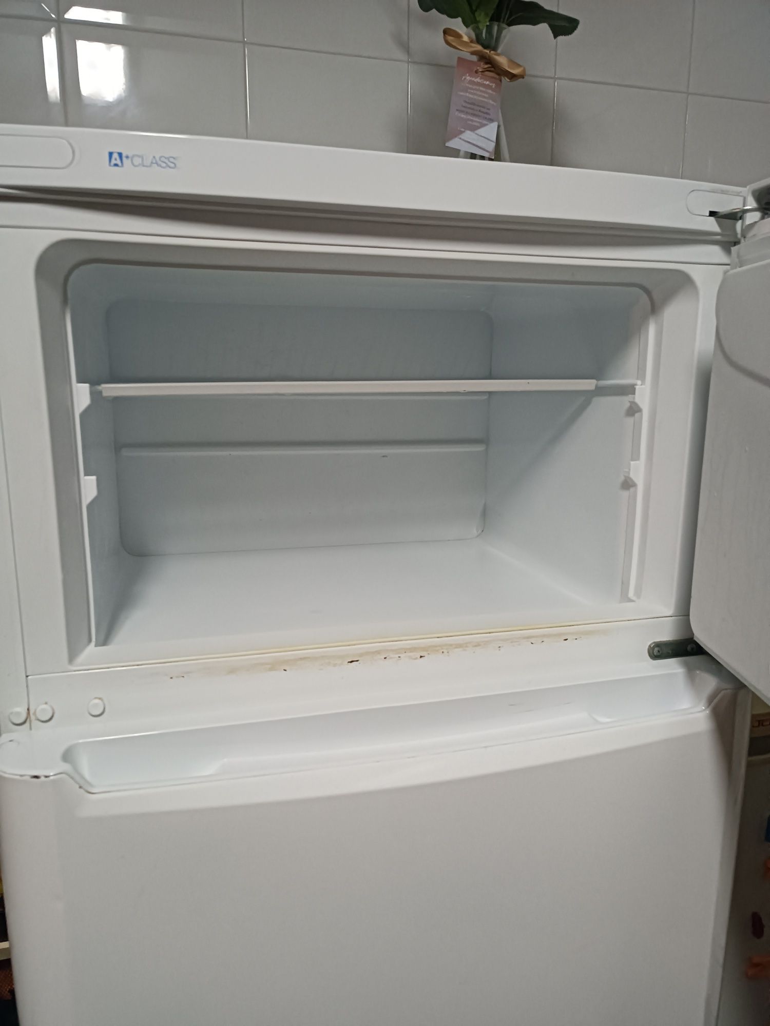 Conjunto Arca congeladora e Combinado Frigorífico Indesit TAA 5 V 1