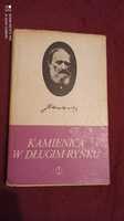 Książka Kamienica w długim rynku - J. I. Kraszewski