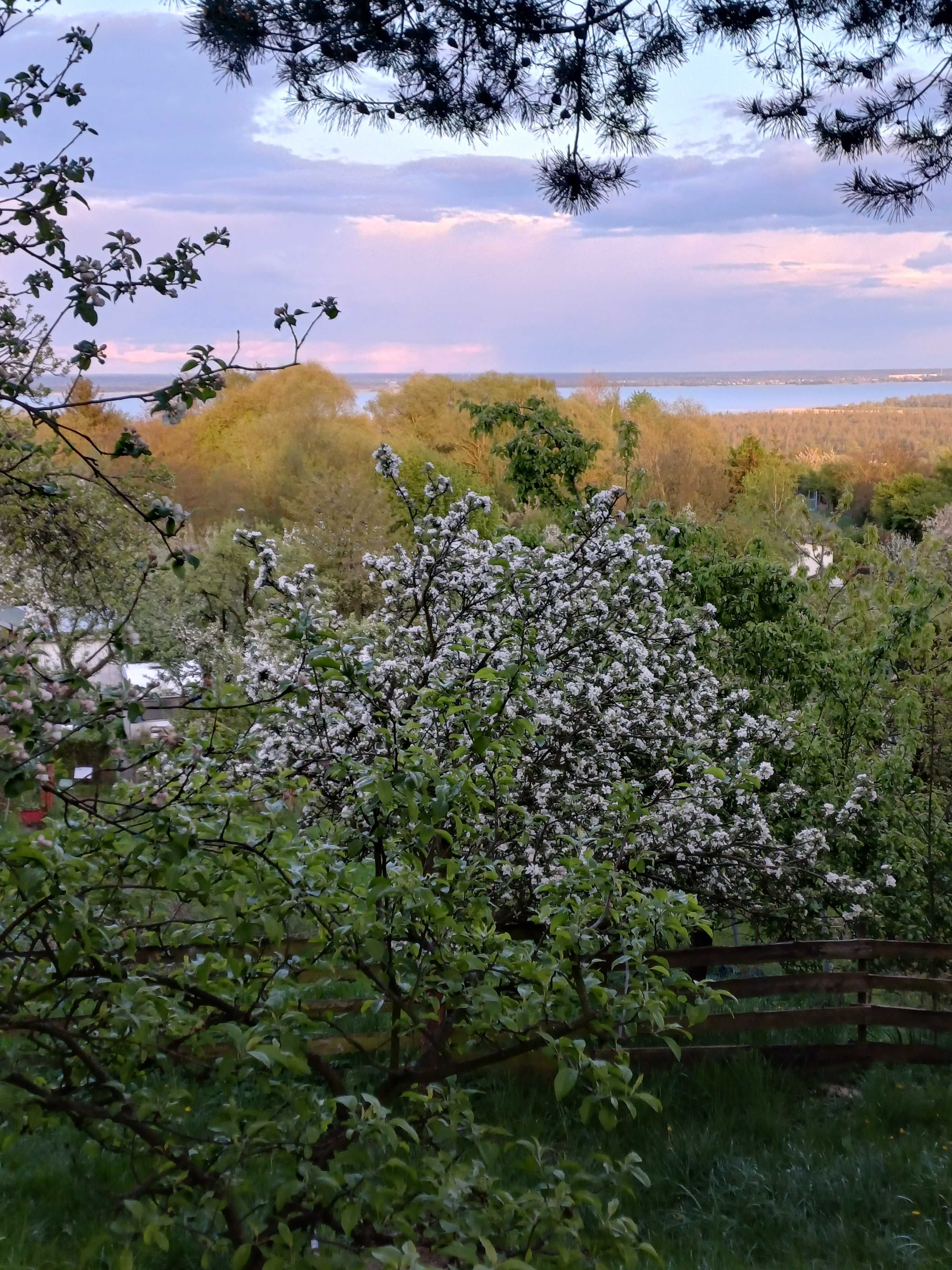 Działka ROD "Panorama" Szczecin