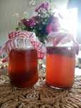 Kombucha grzyb herbaciany