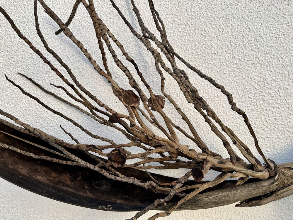 Tronco de coqueiro para decoracao de aquario grande