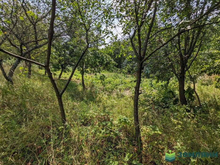 Продаж земельної ділянки в с. Павлівка (1)