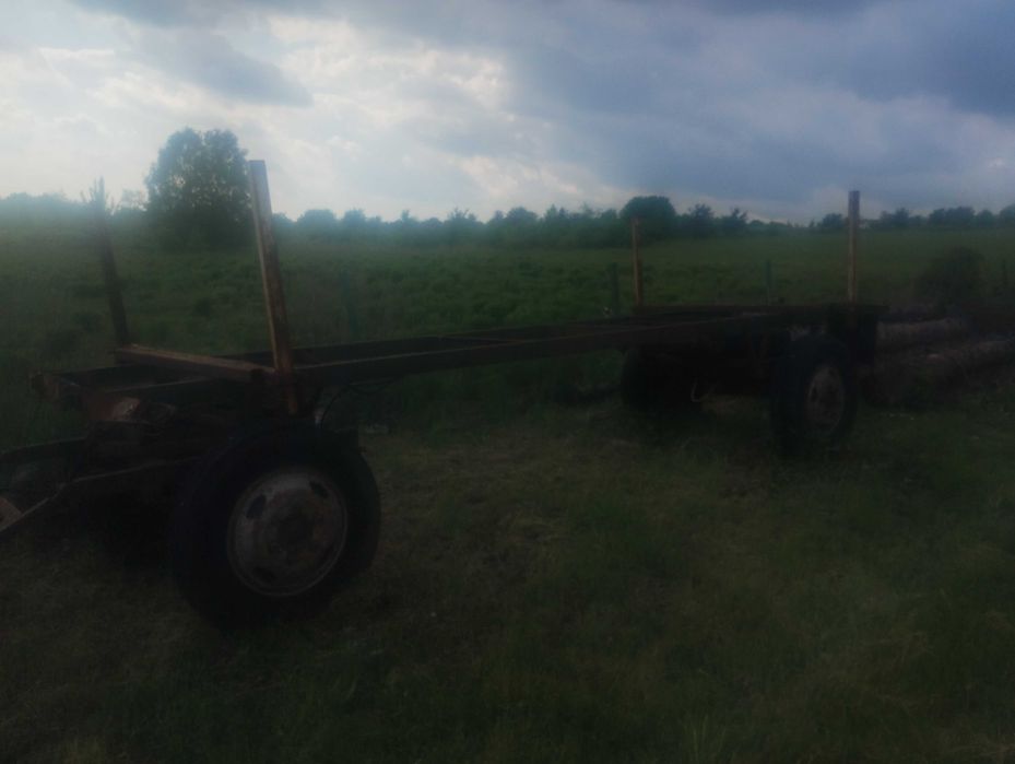 przyczepa do drzewa, balotów,