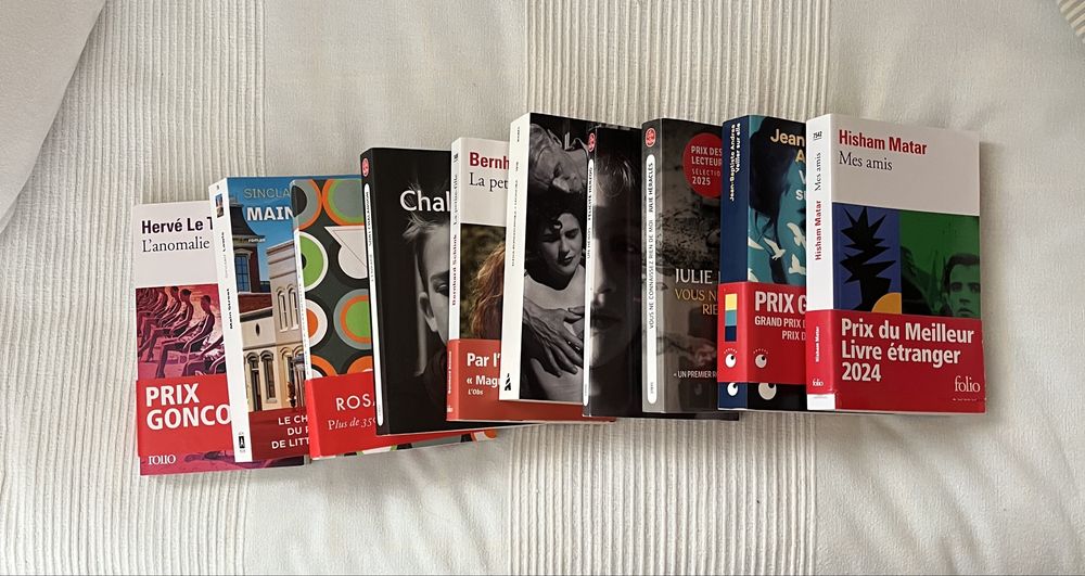 Lote de 10 livres de poche