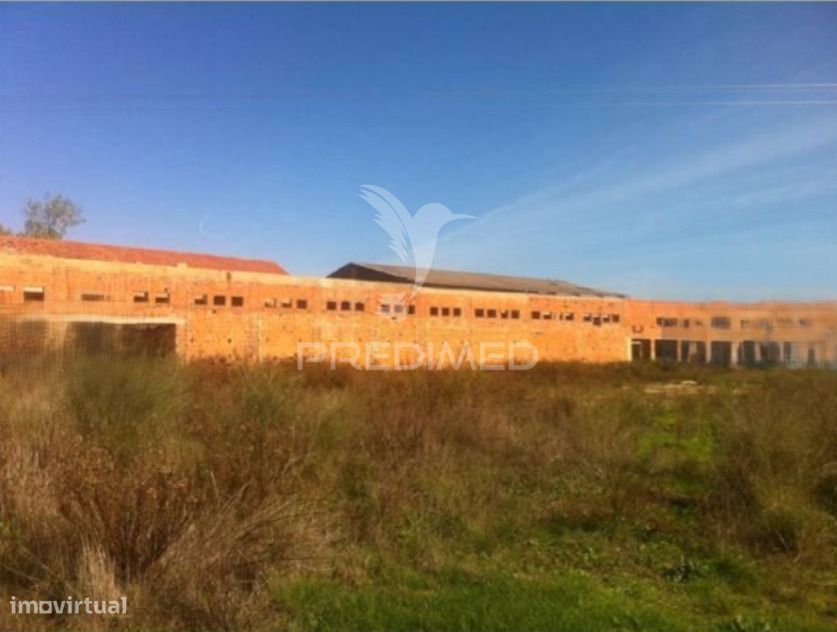 Unidade Industrial para recuperar em Santarém